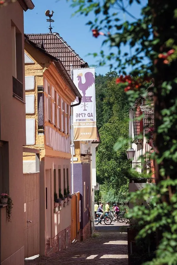 Apartment Das Marktheidenfeld